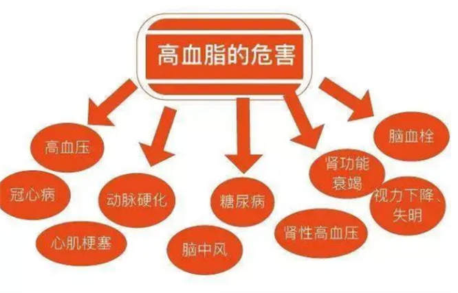 图片细节